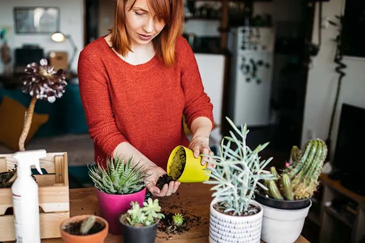 Comment font les jardiniers pour faire pousser les plantes en quelques jours ?