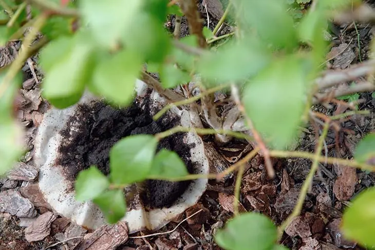 Comment font les jardiniers pour faire pousser les plantes en quelques jours ?