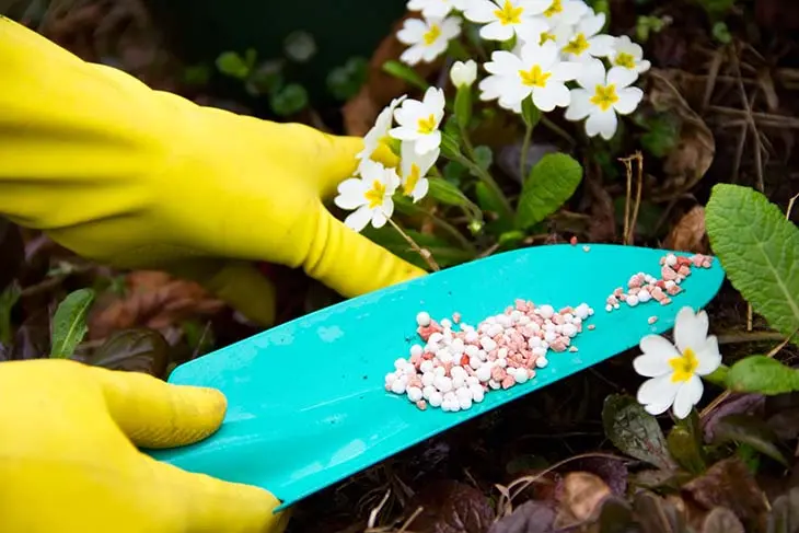 Jardinage : 6 conseils pour réussir ses semis