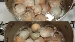 Faites bouillir des coquilles d’œufs dans une casserole